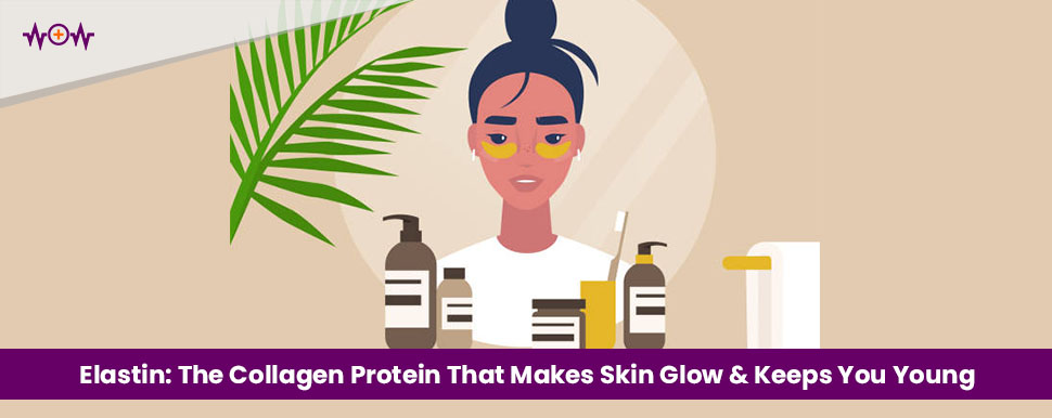 elastin-the-collagen-protein-that-makes-your-skin-glow-and-keeps-you-young